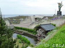 越前水仙の里公園