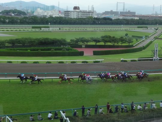 阪神競馬場