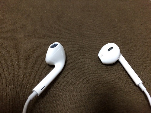 Apple EarPods with Remote and Mic（イヤホン部）