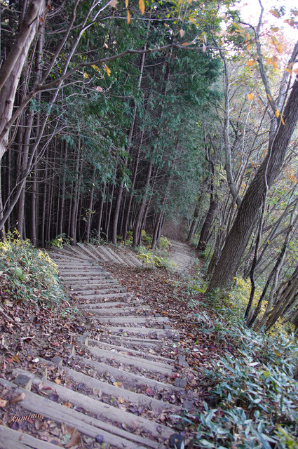 陣馬山のだんだん.jpg