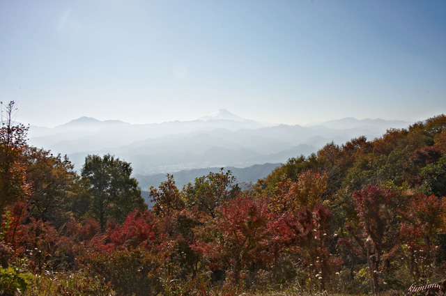 陣馬山の富士山2.jpg