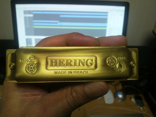 HERING