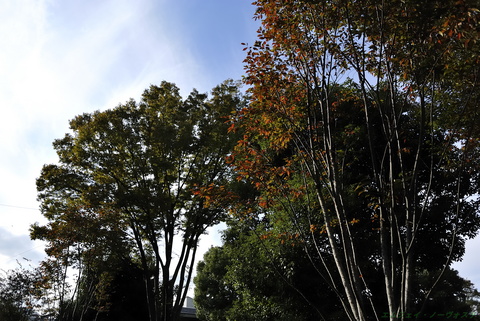 上野動物園020.jpg