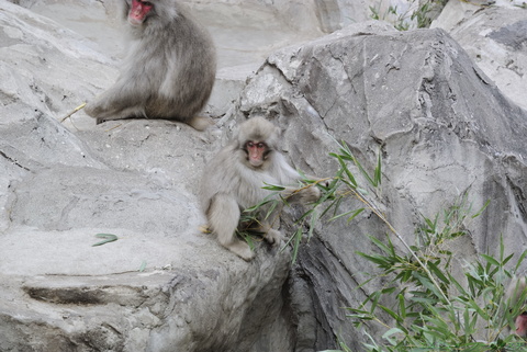 上野動物園034.jpg