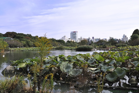 上野動物園045.jpg