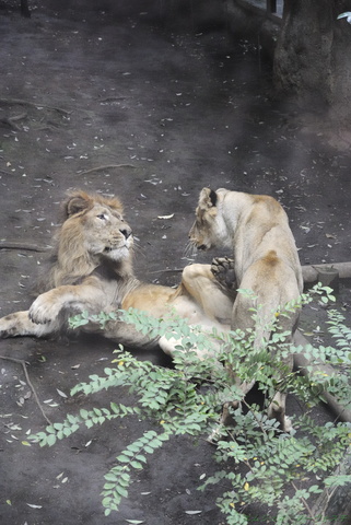 上野動物園112.jpg