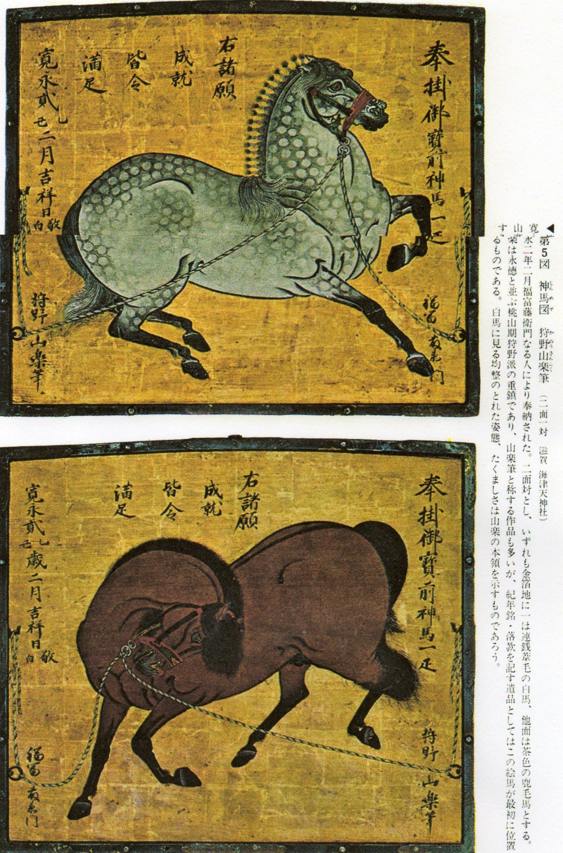 ZENDA 馬の肖像画 馬の油彩画 キャンバスウォールアート リビングルームの装飾用 フレーム入りですぐに掛けられます(恋愛中、47X31インチ)