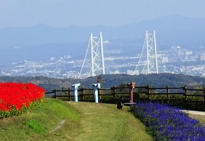 あわじ花さじき12.jpg