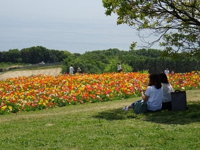 あわじ花さじき13.JPG