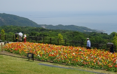 あわじ花さじき14.JPG