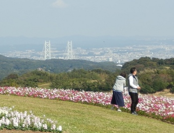 あわじ花さじき9.jpg