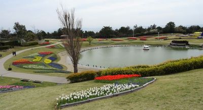 国営明石海峡公園13.JPG