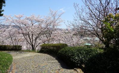 淡路香の公園13.JPG