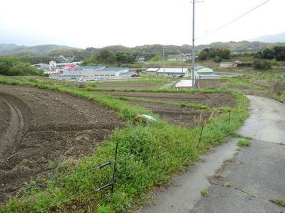 素掘りトンネル12.JPG