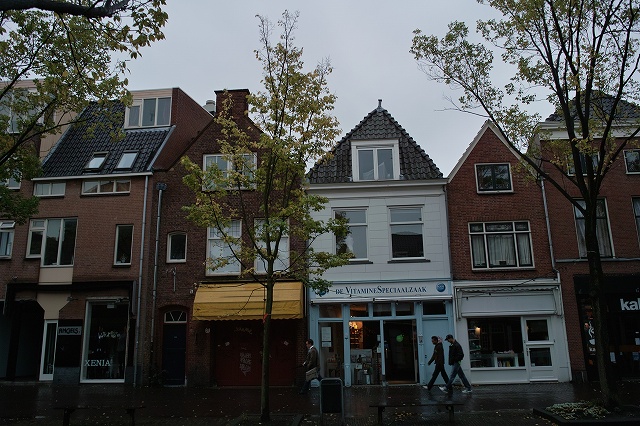 Delft (3).jpg