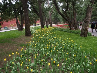 中山公園 (2).jpg