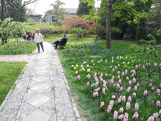 中山公園 3 (15).jpg