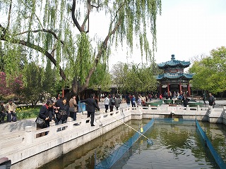 中山公園 3 (8).jpg