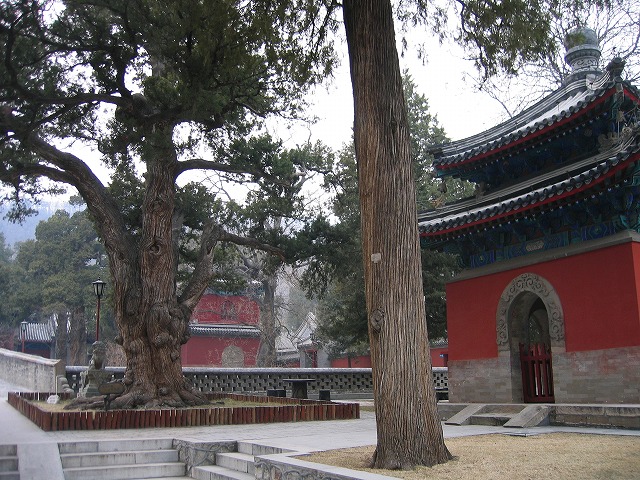 大覚寺 (1).jpg