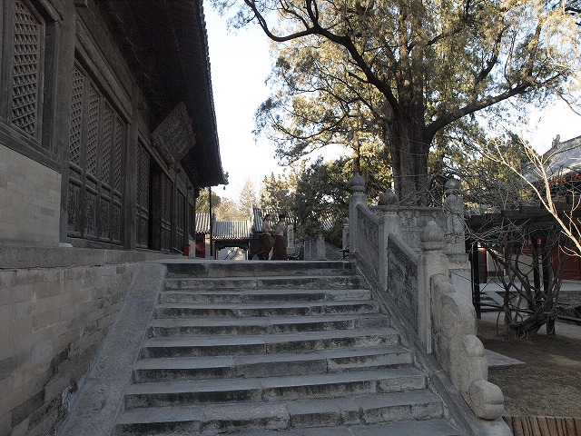 大覚寺 (9).jpg