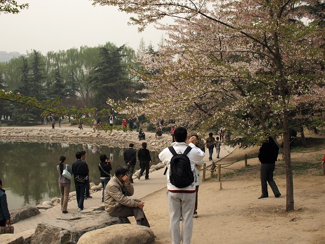 玉淵潭公園 (10).jpg