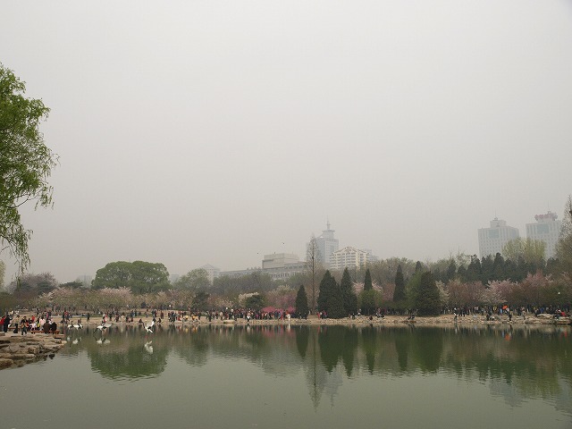 玉淵潭公園 (3).jpg