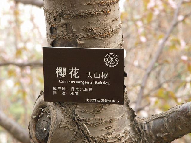 玉淵潭公園 (8).jpg