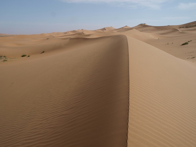 砂漠 (11).jpg
