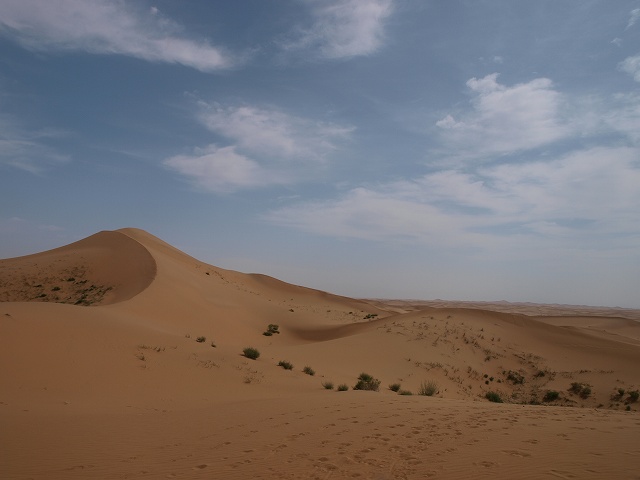 砂漠 (14).jpg