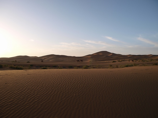 砂漠 (4).jpg