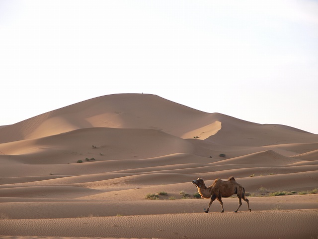 砂漠 (5).jpg