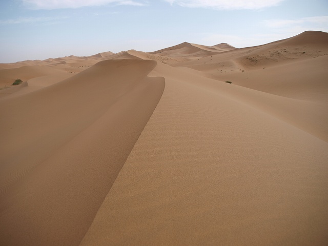 砂漠 (9).jpg
