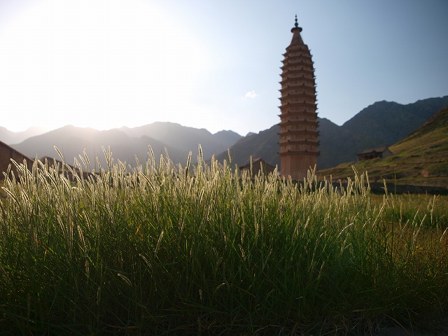 pagoda (9).jpg