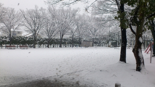 2月29日（閏日）　大雪