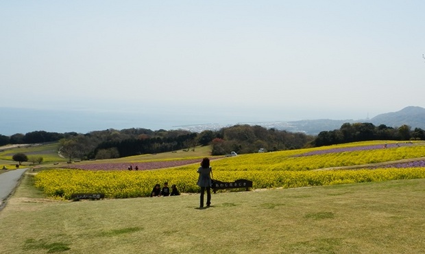 あわじ花さじき1.jpg