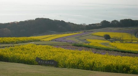 あわじ花さじき10.JPG