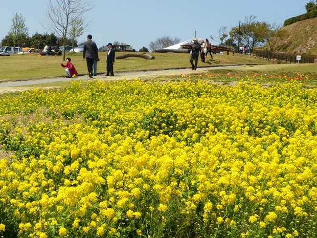 あわじ花さじき10.jpg