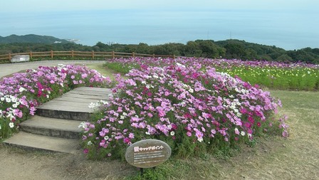 あわじ花さじき10.JPG