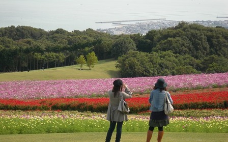 あわじ花さじき13.JPG