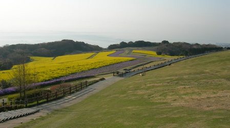 あわじ花さじき14.JPG