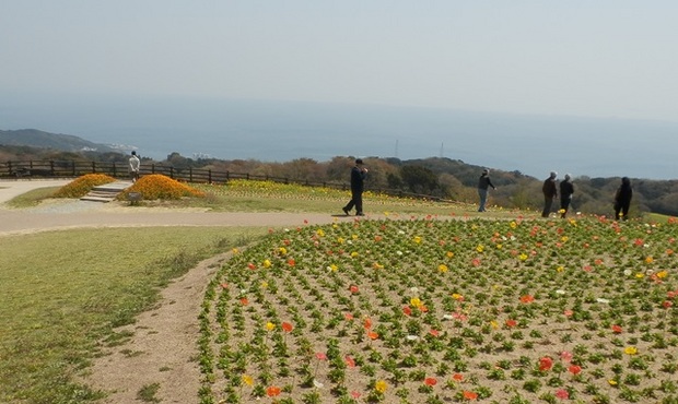 あわじ花さじき15.jpg