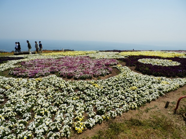 あわじ花さじき19.jpg