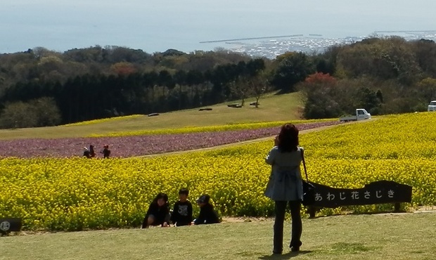 あわじ花さじき2.jpg