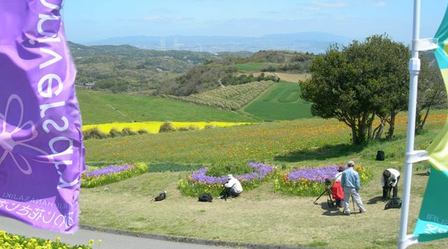 あわじ花さじき2008春20.JPG