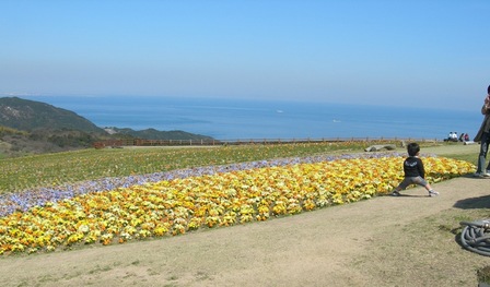 あわじ花さじき2009春6.JPG