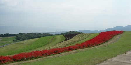 あわじ花さじき8.jpg