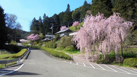 ゆうかの里5.jpg