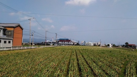 三原川2.jpg
