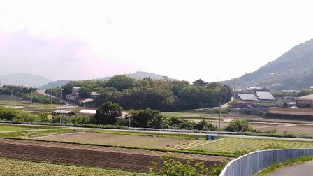 三原川4.jpg