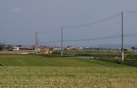 三原川5.jpg